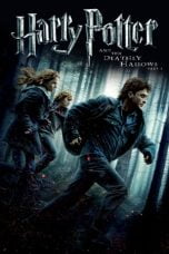 Poster Film Harry Potter and the Deathly Hallows: Part 1 (2011)